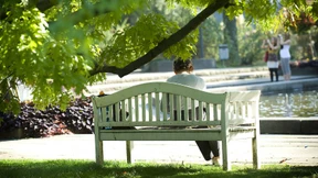 Für Augen und Magen