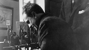 Entlastung für den Krötenfälscher