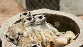 Generationenangepasste Anlagen