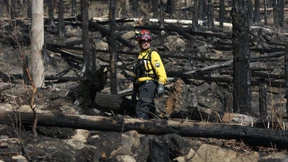 Waldbrand im Harz ist bis auf wenige Glutnester gelöscht