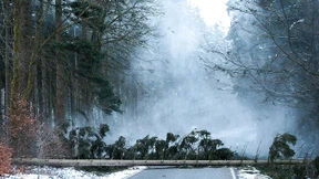 Schneeschauer begleiten kalendarischen Frühling