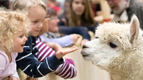 Miet dich durchs Leben