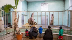 Ist man mit 4499 Euro netto bedürftig?