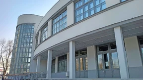 Zahnradblumen mit Sägeblättern