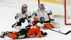 Die Löwen sind auf DEL-Kurs