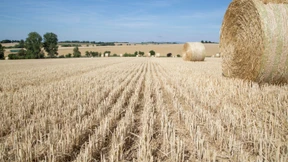 Warum es hier so trocken ist...