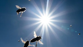 Viel Sonne und fast bis 20 Grad warm