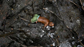 Was die Krabben erzählen