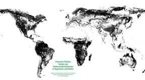 Die Stunde der Weltoptimierer