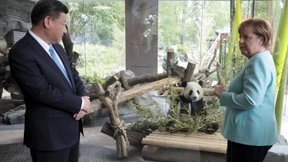 Pandas in Berlin können besucht werden