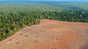 Brasiliens Anleihen sind mit Lula wieder investierbar