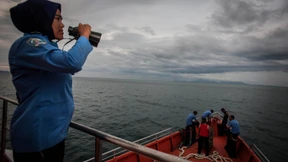 „Die Suche nach der Nadel im Heuhaufen“