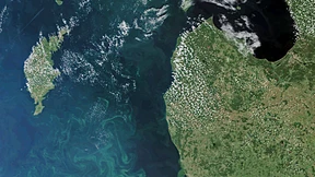 Weniger Phytoplankton in den Weltmeeren