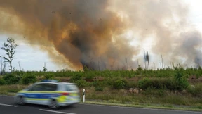 Waldbrand auf Fläche mit Kampfmittelverdacht ausgebrochen