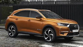 Perlen vor die Meute