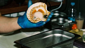 Wenn die Auster zweimal klemmt