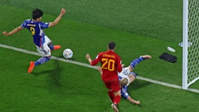 Ball vor Japans Siegtor noch auf der Linie