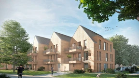 Auf dem Holzweg der Hoffnung