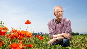 Die hausgemachte Selbstzerstörung