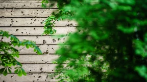 Vergessene Lektionen?