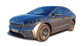 Frisur hält, Knie auch