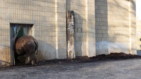 Eine Zukunft für den Zoo