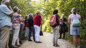 Was ist giftig und was ist essbar?