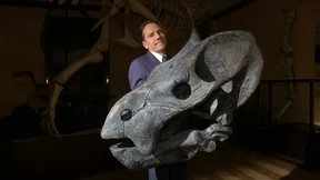 Neue Erkenntnisse aus dem Erdmittelalter