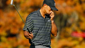 Der perfekte Gastgeber