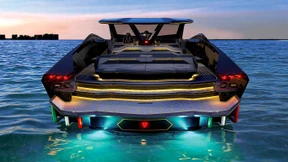 Lambo di mare