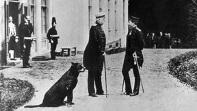 Überfüttertes  Ottochen