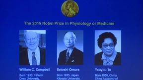 Eine Heilpflanze besiegt Malaria