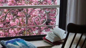 Schwer zu glauben, dass das wirklich ist