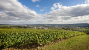 Netz der Rheingauer Wetterstationen gefährdet