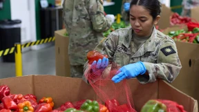 Shutdown bedroht Nahrungsmittelversorgung für Bedürftige