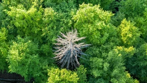 Versickerungsmulden als Wasserspeicher