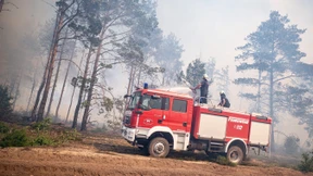 Waldbrand auf munitionsverseuchtem Gelände