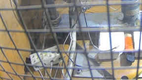 Sicherheitstest mit der Nagelprobe  