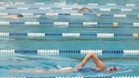 Zwischen Kampfkraulern und Quasselstrippen