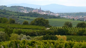  Angeklagter zu lebenslanger Haft nach Mord an Pizzeria-Wirt verurteilt