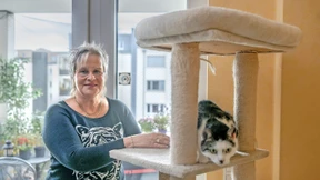 Alles für die Katze