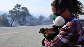 Bedrohte Tiere auf Bauernhöfen