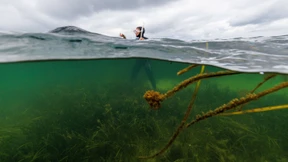 Sisyphusarbeit für Klimataucher