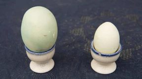 Dickes Ei von Wolfenbüttel soll ins Museum