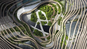 So wachsen die hängenden Gärten der Neuzeit