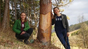 Sie leben vom Pech der Bäume