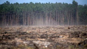 Wie eine Staubwüste