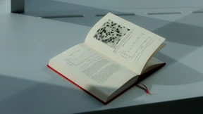 Chronik einer Plagiats-Intrige