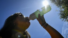 2019 war das heißeste Jahr in der Geschichte Europas