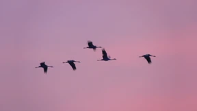 Film ab für die Natur